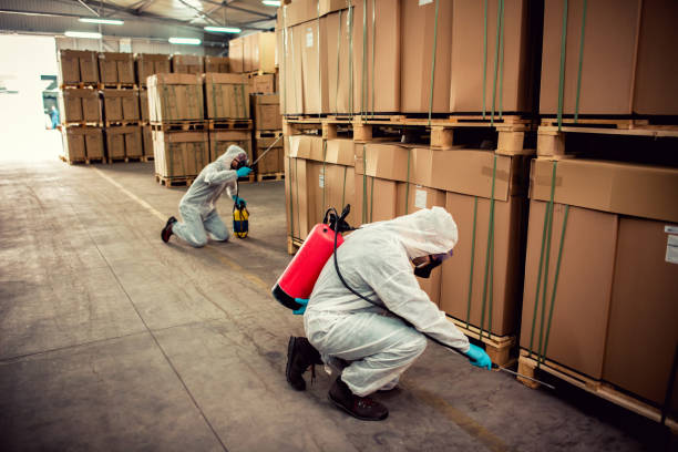 Best Best Pest Control Companies  in Wynnewood, OK