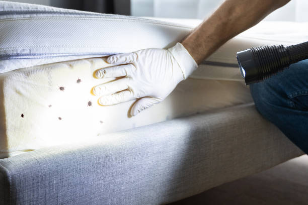 Best Best Pest Control Companies  in Wynnewood, OK